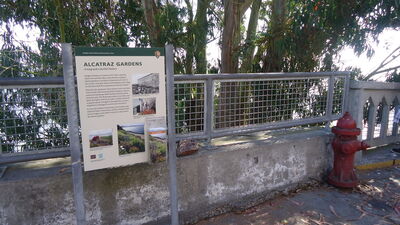 DSC03819.JPG