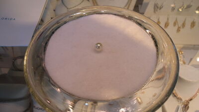 DSC03907.JPG