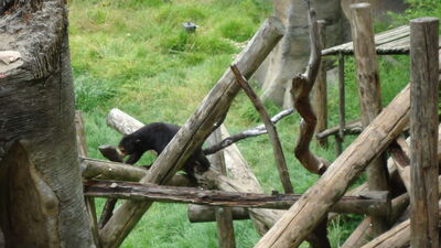 DSC03947.JPG