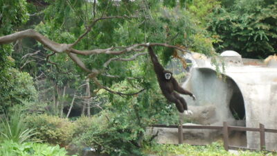DSC03957.JPG