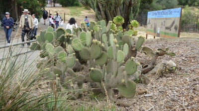DSC03971.JPG