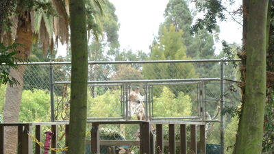 DSC03986.JPG