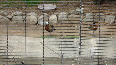 DSC03989.JPG