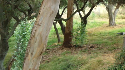 DSC03991.JPG