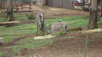 DSC03998.JPG