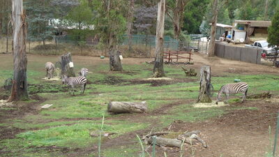 DSC03999.JPG