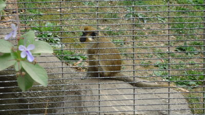 DSC04024.JPG