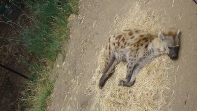 DSC04036.JPG
