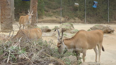 DSC04052.JPG