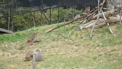 DSC04059.JPG