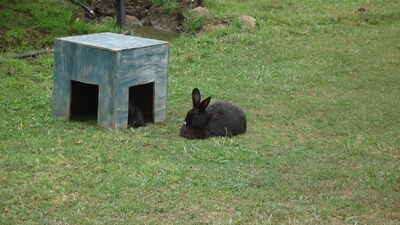 DSC04063.JPG