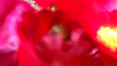 DSC04067.JPG