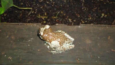 DSC04085.JPG