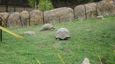 DSC04096.JPG