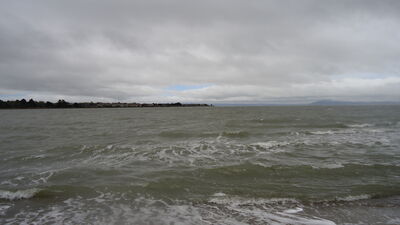 DSC04126.JPG