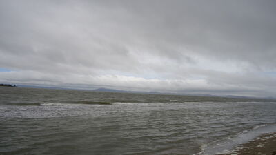 DSC04129.JPG