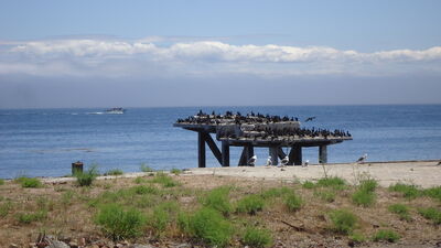 DSC04148.JPG