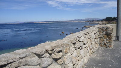 DSC04177.JPG