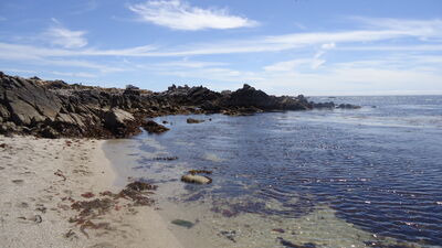 DSC04182.JPG