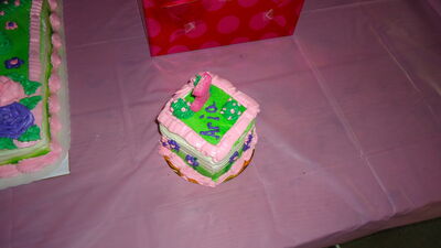 DSC04208.JPG