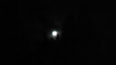 DSC04245.JPG