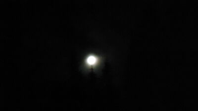 DSC04246.JPG