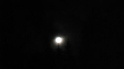 DSC04249.JPG