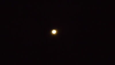 DSC04250.JPG