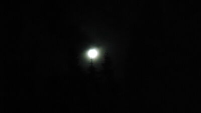 DSC04251.JPG