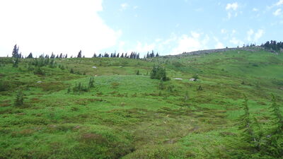 DSC04287.JPG