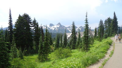 DSC04292.JPG