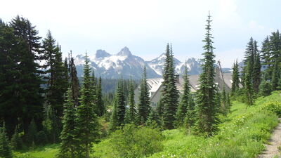 DSC04293.JPG