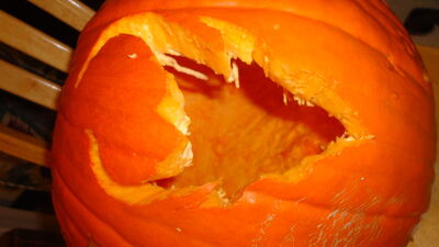 DSC04358.JPG