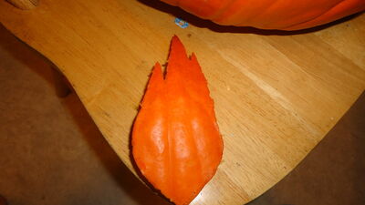 DSC04361.JPG