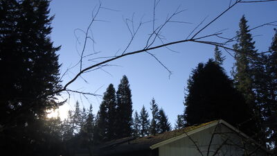 DSC04387.JPG