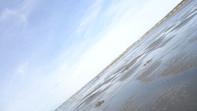 DSC04478.JPG