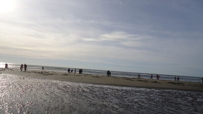 DSC04482.JPG