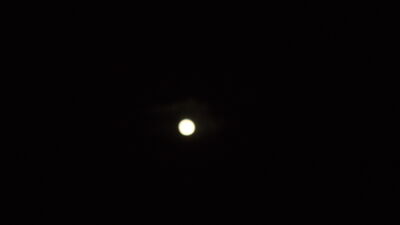 DSC04486.JPG