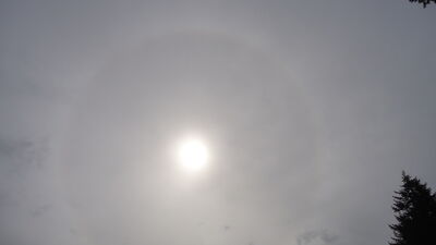DSC04501.JPG