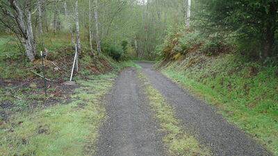 DSC04506.JPG