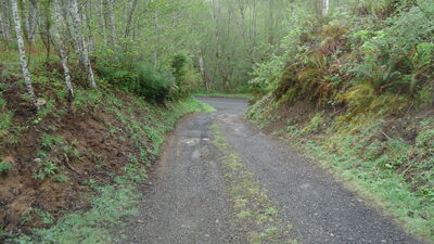 DSC04507.JPG