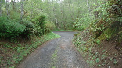 DSC04508.JPG