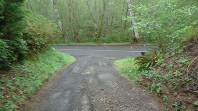 DSC04509.JPG