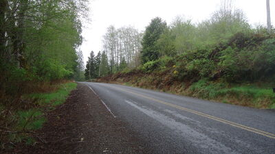 DSC04515.JPG