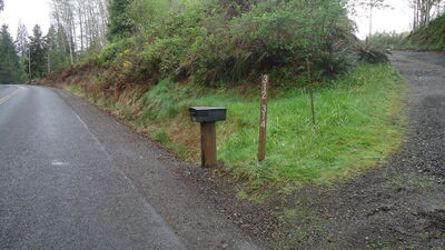 DSC04516.JPG