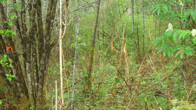 DSC04522.JPG