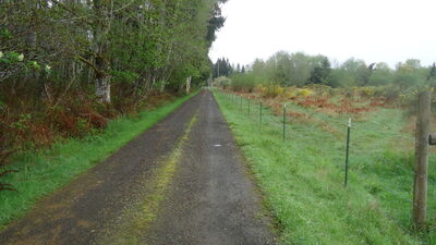 DSC04526.JPG