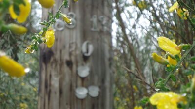 DSC04532.JPG