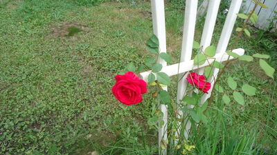 DSC04560.JPG