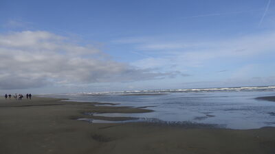 DSC04579.JPG